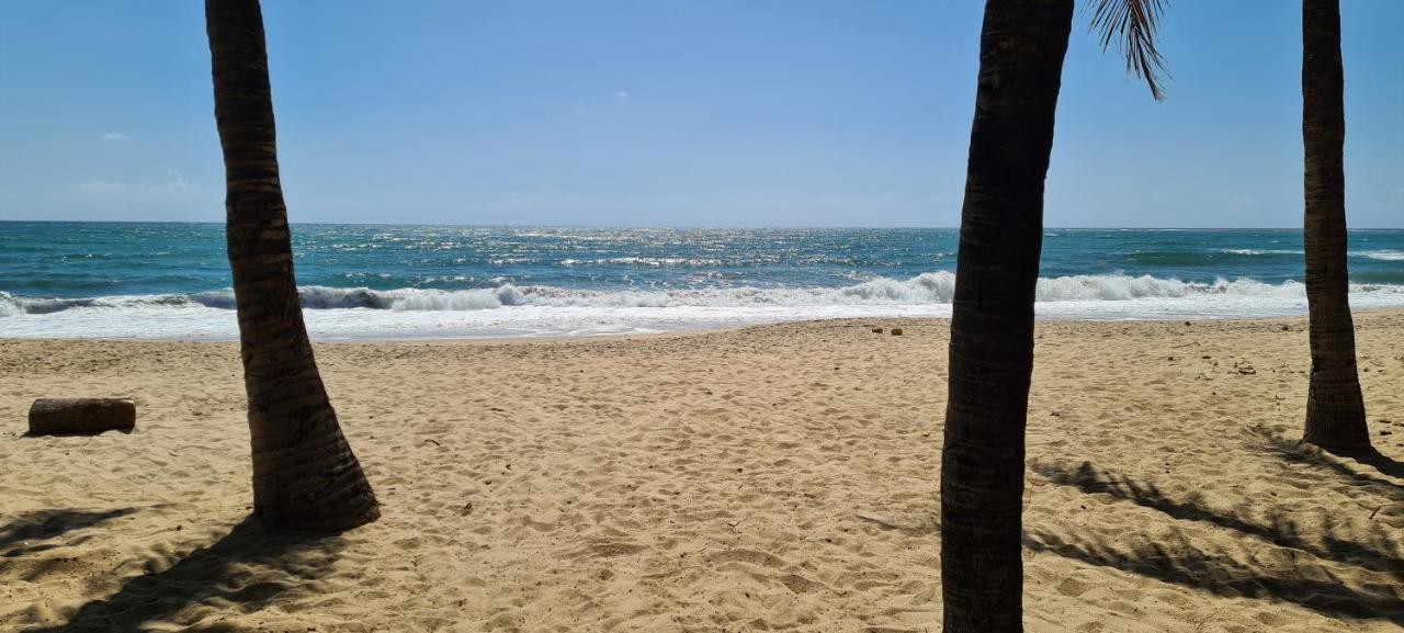 Trevily Porto Flats A 100M Da Praia Pôrto das Galinhas Dış mekan fotoğraf